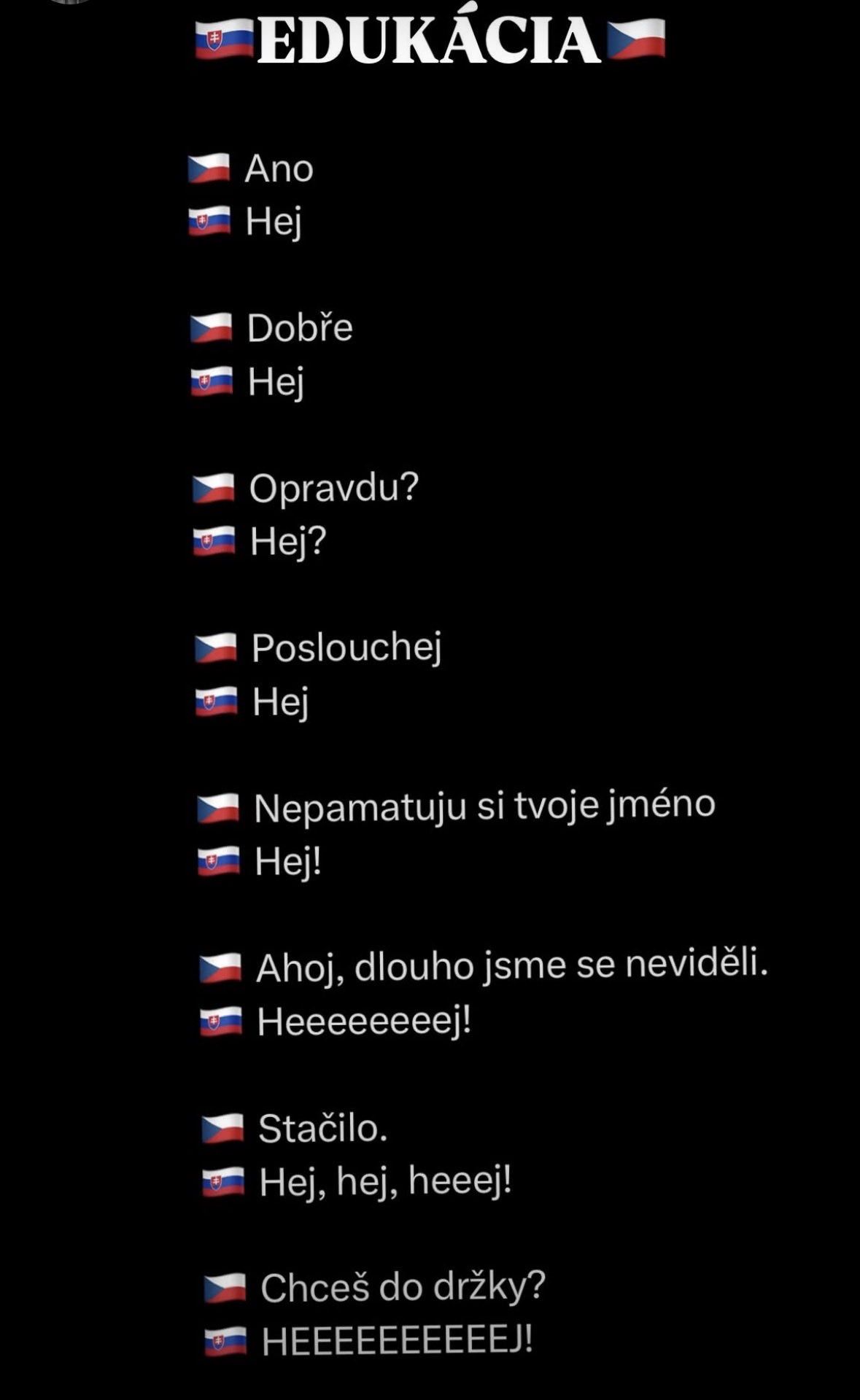 Sloven�ina v skratke